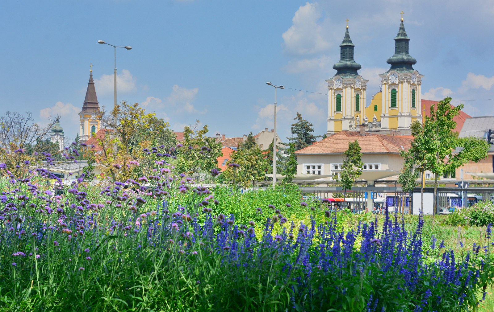 Közös felkészülés - Székesfehérvár és Orfű a jövő évi Entente Florale Europe versenyen